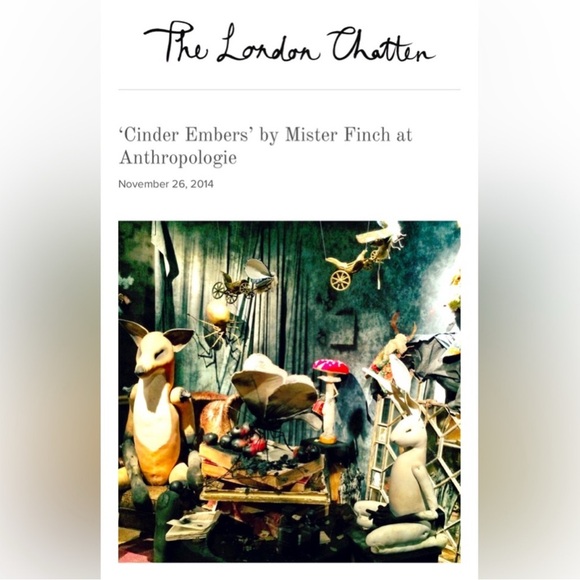 Rare! Mister Finch Textile Moth - Picture 12 of 12